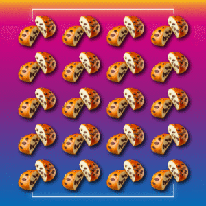 Megapack 20 pezzi | Pansoffice con scaglie di cioccolato